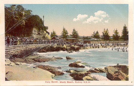 Fairy Bower Manly