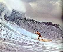 Fred Hemmings, Huge Makaha point surf, circa 1964.