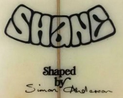 Shane stedman biography top