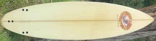 Wayne lynch evolution shop surfboard