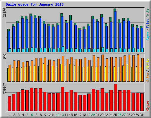 Daily usage for January 2013