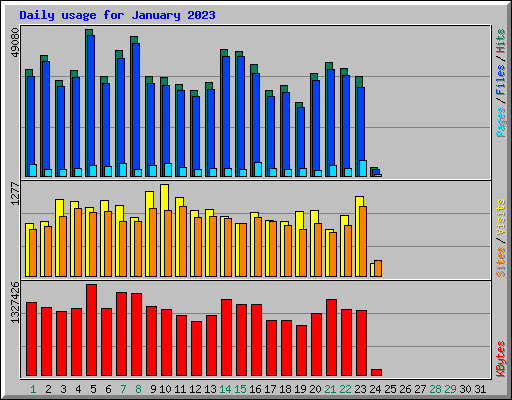 Daily usage for January 2023