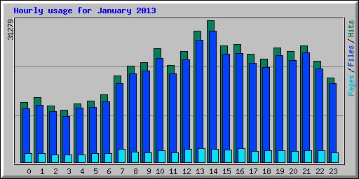 Hourly usage for January 2013