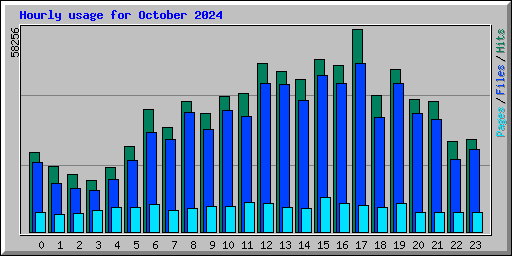 Hourly usage for October 2024