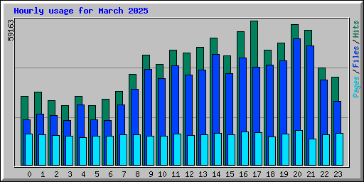 Hourly usage for March 2025