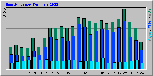 Hourly usage for May 2025