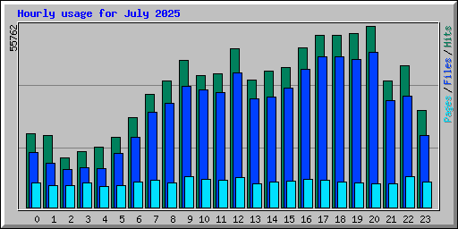 Hourly usage for July 2025