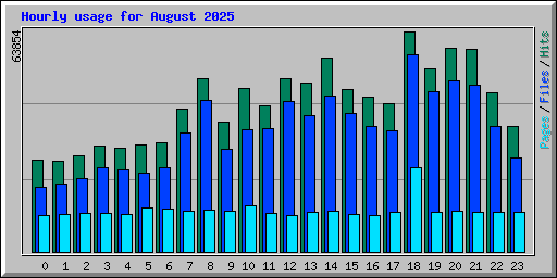Hourly usage for August 2025