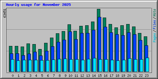 Hourly usage for November 2025