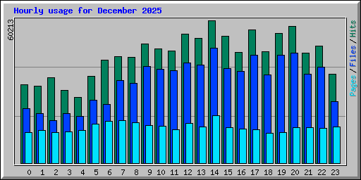 Hourly usage for December 2025