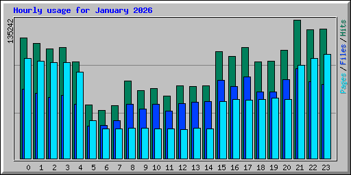 Hourly usage for January 2026