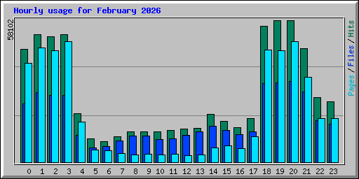 Hourly usage for February 2026