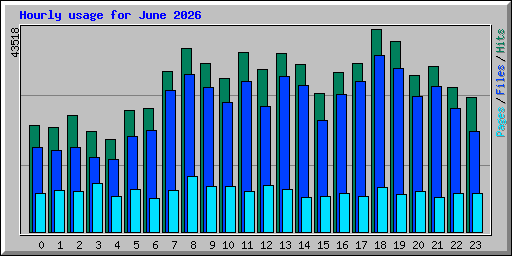 Hourly usage for June 2026
